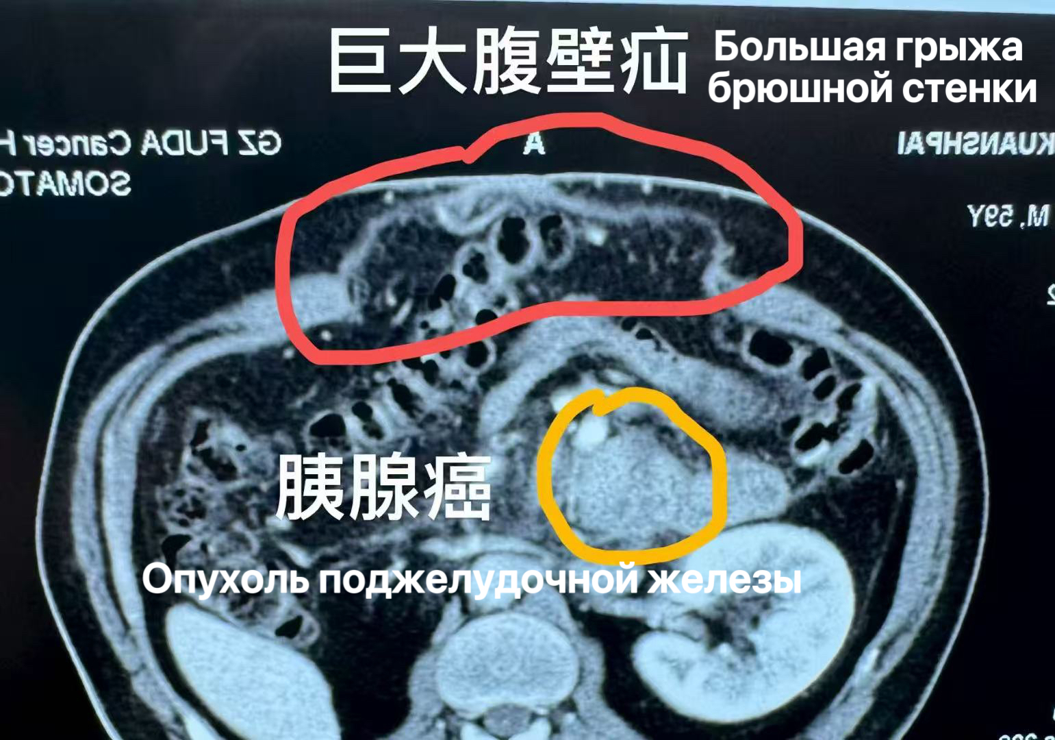 fuda27_529819.jpg